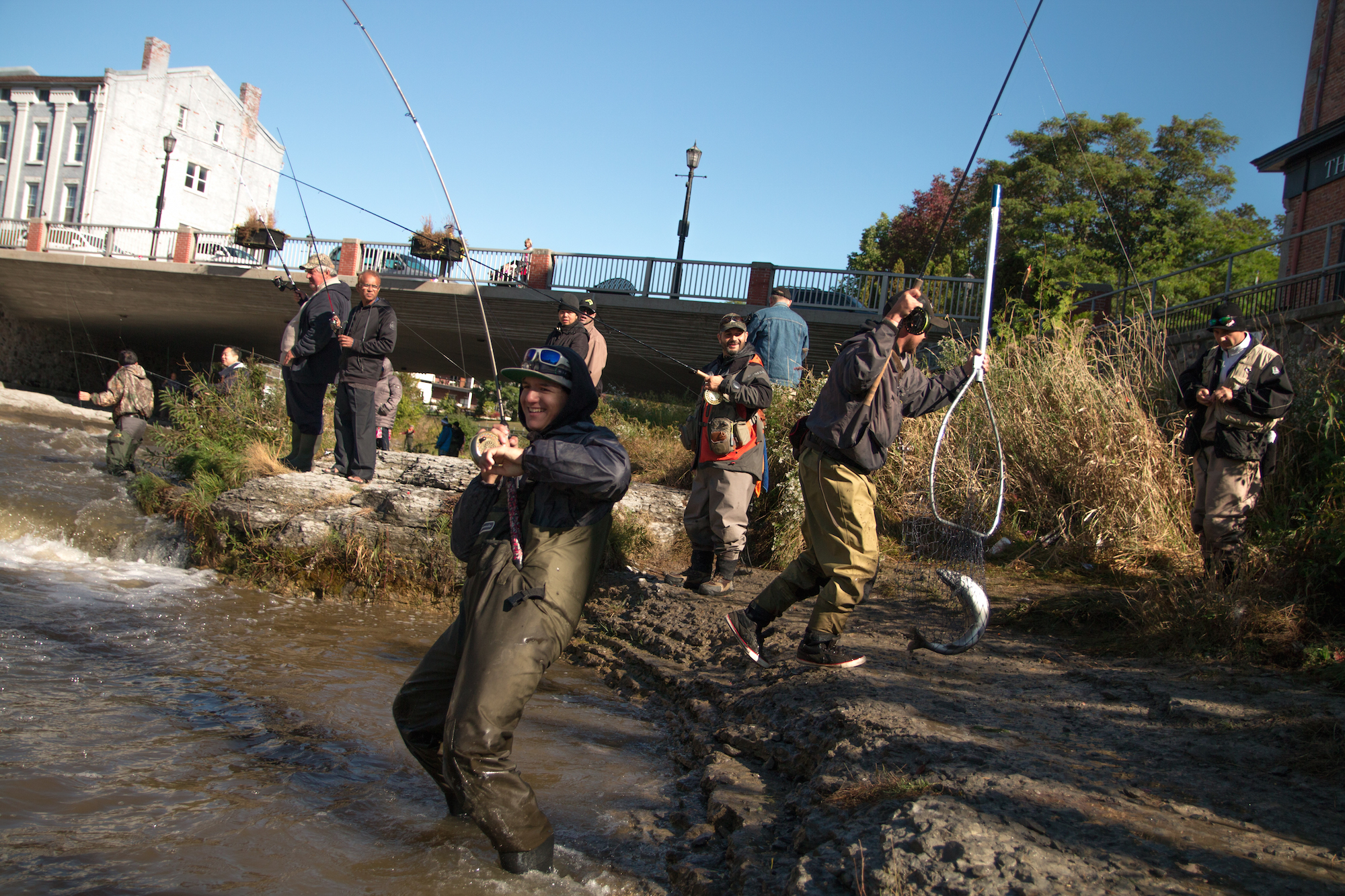 Swimming upstream Ontario’s annual salmon run in photos TVO Today